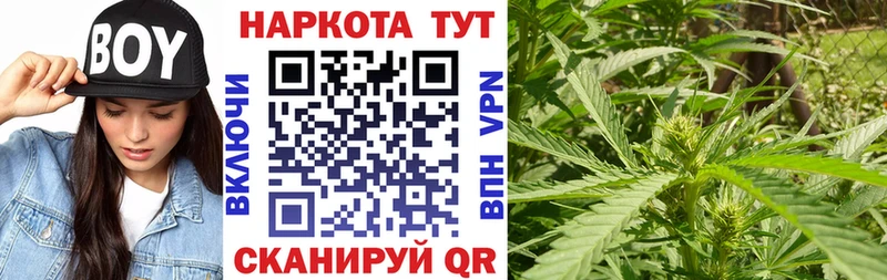 МАРИХУАНА Сураж