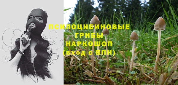 ECSTASY Алзамай