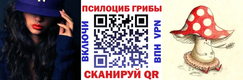 кракен зеркало  как найти закладки  Сураж  Псилоцибиновые грибы мухоморы 
